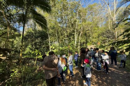 Alunos participam de trilha monitorada e plantio de árvores no Parque da Gruta de Santa Luzia