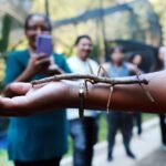 Borboletário de Diadema é boa opção de passeio nas férias escolares