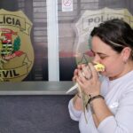 Paixão da vida de Gabriela Lentulo, 39 anos, moradora de São Caetano, a calopsita Romeu Totó foi a protagonista de uma história cheia de reviravoltas