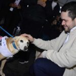 Gilvan lança programa que facilita a adoção e incentiva o voluntariado em prol dos animais