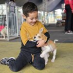 Projeto “Tigela Cheia” troca garrafas PET por ração e promove adoção de animais no Festival do Chocolate