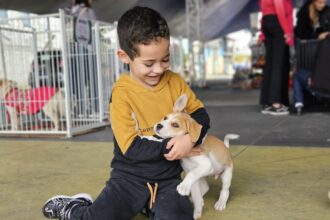 Projeto “Tigela Cheia” troca garrafas PET por ração e promove adoção de animais no Festival do Chocolate