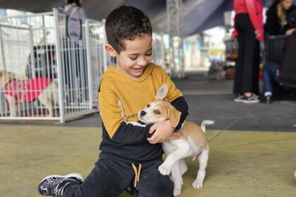 Projeto “Tigela Cheia” troca garrafas PET por ração e promove adoção de animais no Festival do Chocolate