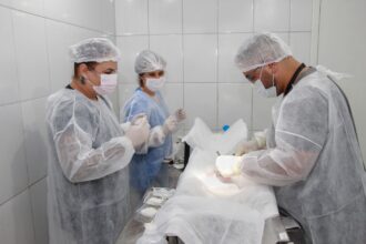 Ribeirão Pires alcança 10 mil castrações gratuitas de animais desde 2021