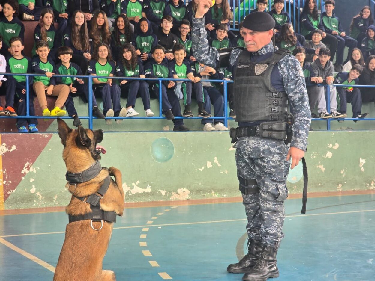 Projeto ‘Cão Amigo’ é ampliado para escolas municipais e estaduais em Ribeirão Pires