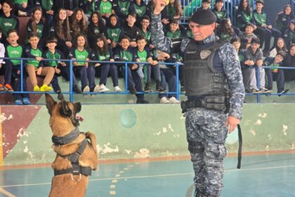 Projeto Cão Amigo da GCM de Ribeirão Pires alcança marca de 10 mil participantes