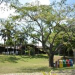 Emea Parque Tangará abre inscrições para programação gratuita de férias em Santo André