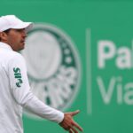 Palmeiras