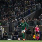 Palmeiras