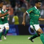 Novorizontino - Palmeiras - Transmissões