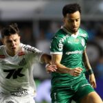 Palmeiras x Santos - Brasil - Paulistão