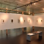 Exposição “João Suzuki: Horizontes” termina na próxima semana