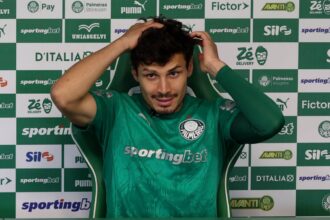 Veiga - Palmeiras