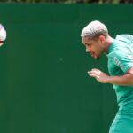 Palmeiras