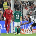 Palmeiras -