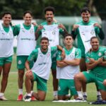 Palmeiras