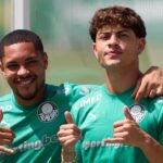 Palmeiras