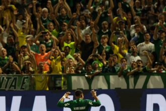 Palmeiras