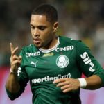 Palmeiras