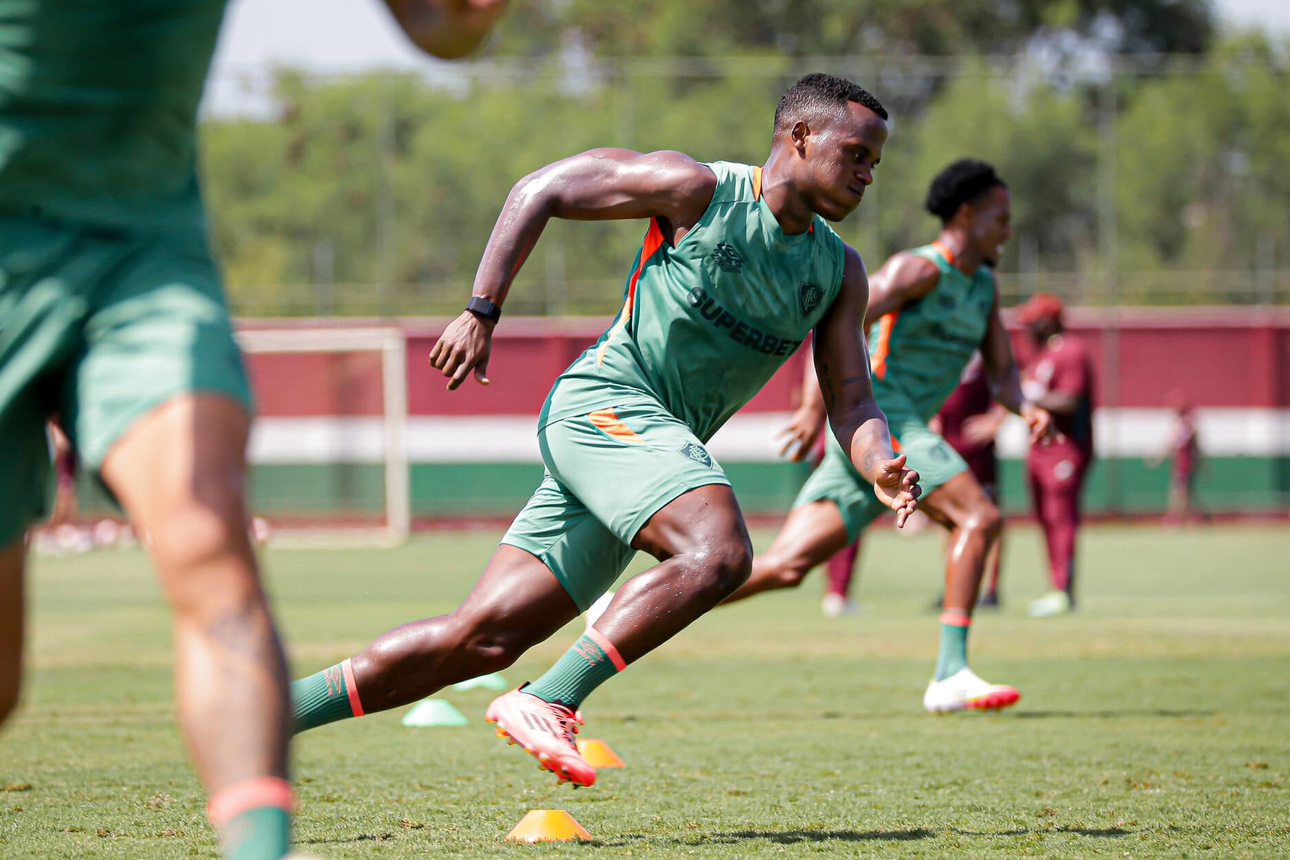 Fluminense Arias Palmeiras