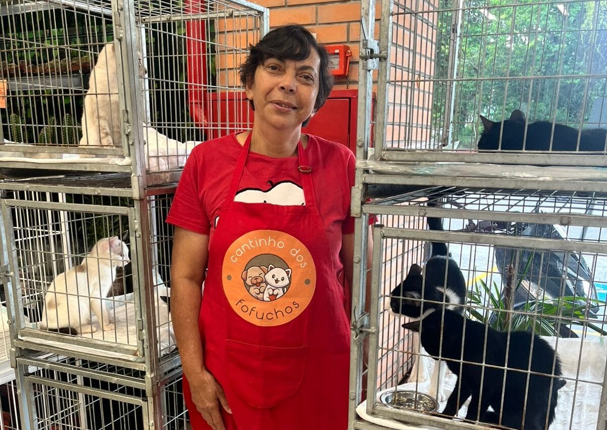 Caso Orelha levanta debate sobre adoção e maus-tratos a animais na Região do ABCD