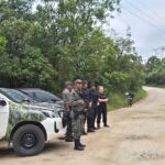 Corpo em decomposição é encontrado em área de mata em São Bernardo