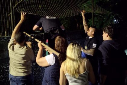 Ação ocorreu após moradores do bairro Assunção pedirem apoio diante do risco à vida do animal em área sem iluminação e de difícil acesso