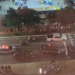 Sobreviventes e bagunceiros: Vídeo mostra filhotes resgatados de poço destruindo tapetes em novo lar
