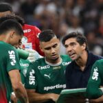 Abel Palmeiras