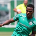 Palmeiras Arias