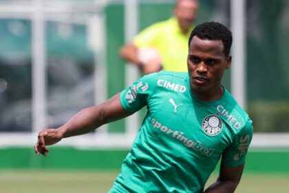 Palmeiras Arias