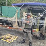 Em São Bernardo, GCM Ambiental apreende 6 tarrafas e resgata 32 peixes vivos retirados da Billings