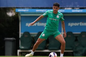 Bruno Rodrigues Palmeiras