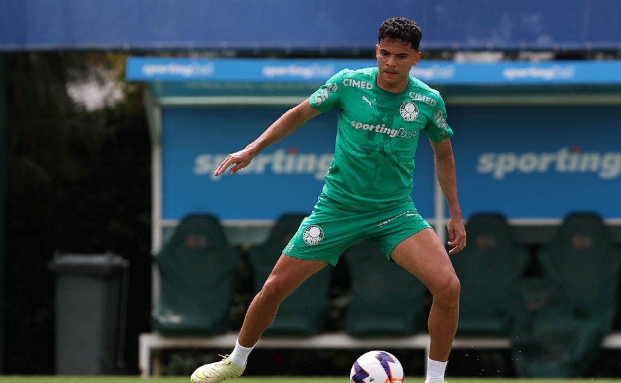 Bruno Rodrigues Palmeiras