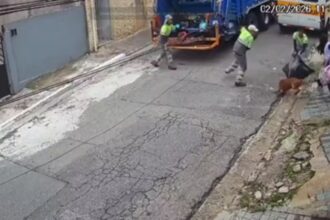 Pitbull escapa de residência e ataca coletores de lixo no Jabaquara