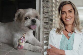 Cão com paralisia volta a se movimentar após tratamento com polilaminina, proteína criada pela pesquisadora Tatiana Sampaio.