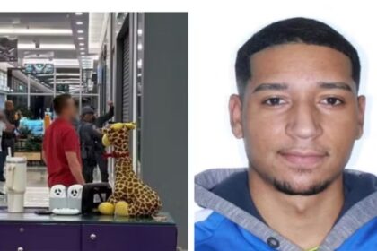 Autor de feminicídio em shopping de São Bernardo segue internado sob escolta policial