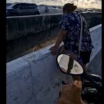 Vídeo: Motociclista salva idosa em viaduto no Recife e mobiliza rede de apoio após vídeo viralizar