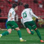 Palmeiras