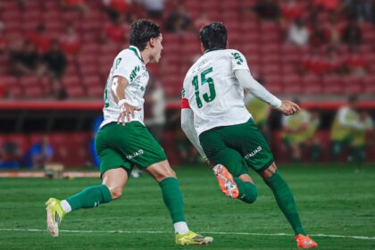 Palmeiras