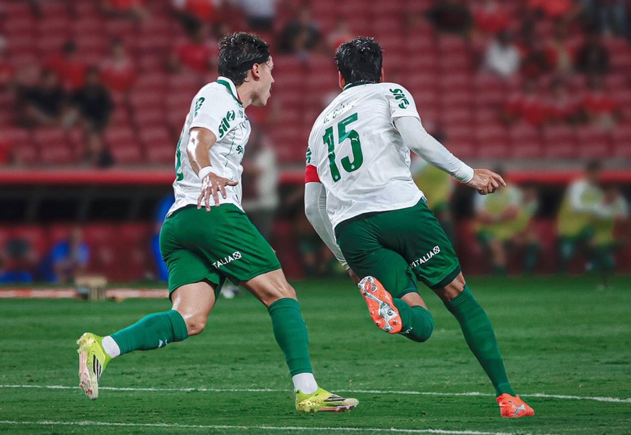 Palmeiras