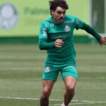 Maurício Palmeiras