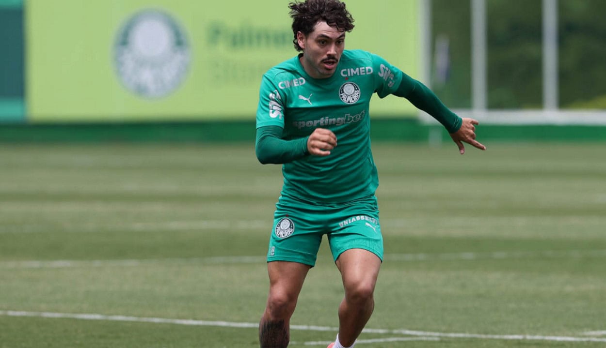 Maurício Palmeiras