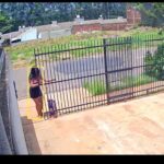 Esqueceu o "item" principal: Mãe sai para levar filha à escola, mas deixa a criança em casa