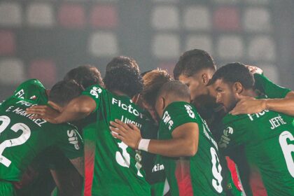Palmeiras