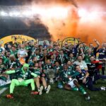 Palmeiras