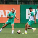 Palmeiras