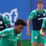 Palmeiras