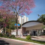 São Caetano realiza dezenas de ações de prevenção e conscientização sobre o câncer de colo de útero no Março Lilás