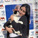 Evento de Adoção busca lares para pets em famílias de Mauá, no dia 28/02